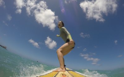 ウェブサイト公式オープン